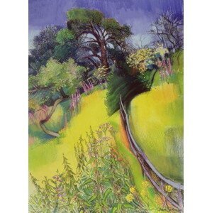 Claire Spencer - Obrazová reprodukce Midsummer, (30 x 40 cm)