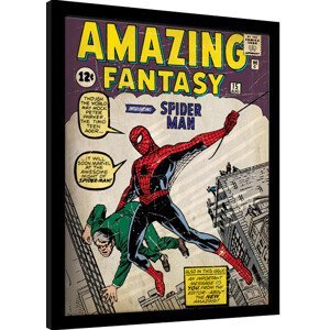 Obraz na zeď - Spider-Man - Issue 1