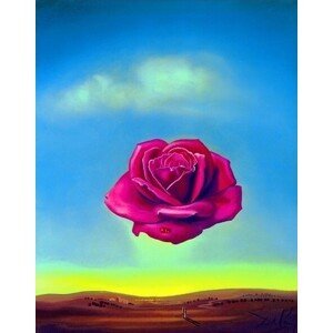 Umělecký tisk Salvador Dali - Medative Rose, (50 x 70 cm)