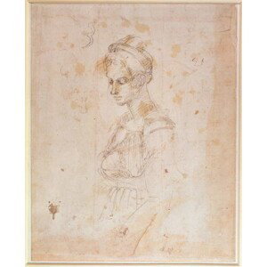 Obrazová reprodukce W.41 Sketch of a woman, Michelangelo Buonarroti, 35x40 cm