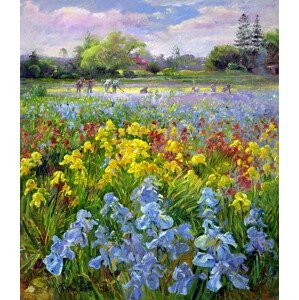 Timothy Easton - Obrazová reprodukce Hoeing Team and Iris Fields, 1993, (35 x 40 cm)