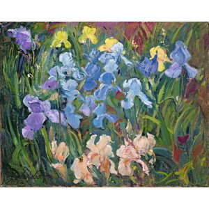 Obrazová reprodukce Irises: Pink, Blue and Gold, 1993, Timothy Easton, 40x30 cm