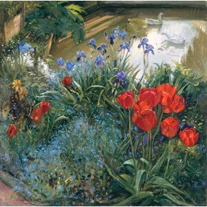 Timothy Easton - Obrazová reprodukce Red Tulips and Geese, (40 x 40 cm)