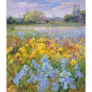 Timothy Easton - Obrazová reprodukce Irises, Willow and Fir Tree, 1993, (35 x 40 cm)