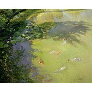 Timothy Easton - Obrazová reprodukce Featherplay, (40 x 30 cm)