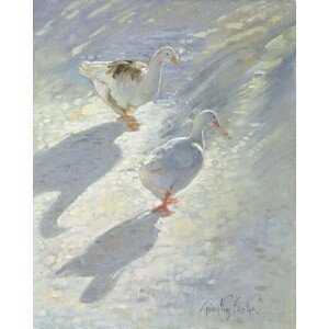 Timothy Easton - Obrazová reprodukce Against the Slope, (30 x 40 cm)