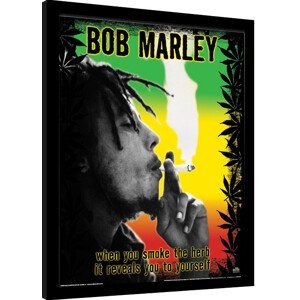 Obraz na zeď - Bob Marley - Herb
