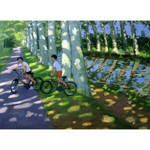Andrew Macara - Obrazová reprodukce Canal du Midi, France, (40 x 30 cm)