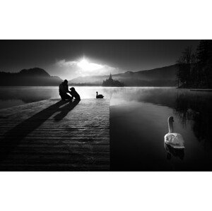 Umělecká fotografie A peaceful morning at the lake, (40 x 24.6 cm)