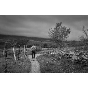 Umělecká fotografie Walk with umbrela, Petar	Boskovski, (40 x 26.7 cm)