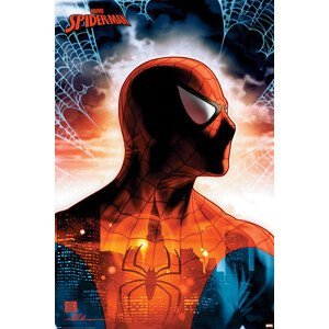 Plakát, Obraz - Spider-Man - Protector Of The City, (61 x 91.5 cm)