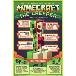 Plakát, Obraz - Minecraft - Creepy Behaviour, (61 x 91.5 cm)