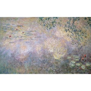 Monet, Claude - Obrazová reprodukce Waterlilies , 1910, (40 x 24.6 cm)