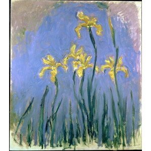 Monet, Claude - Obrazová reprodukce Yellow Irises; Les Iris Jaunes, c.1918-1925, (35 x 40 cm)