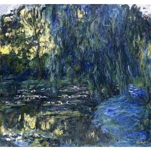 Monet, Claude - Obrazová reprodukce View of the Lilypond with Willow, c.1917-1919, (40 x 40 cm)
