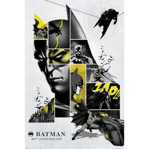 Plakát, Obraz - Batman - 80th Anniversary, (61 x 91.5 cm)