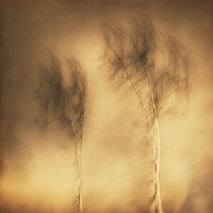 Umělecká fotografie Wind, Gustav Davidsson, (40 x 40 cm)
