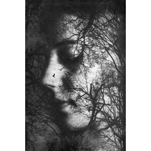Umělecká fotografie Forest Thoughts, Byka Artography, (26.7 x 40 cm)
