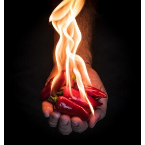 Umělecká fotografie Red Hot Chili Peppers, Mike Melnotte, (40 x 40 cm)