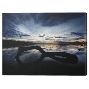 Obraz na plátně Marina Cano - Beach Reflection, (80 x 60 cm)