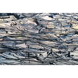 Umělecká fotografie Earth Carpet, George Doupas, (40 x 26.7 cm)