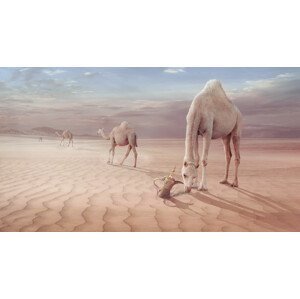 Umělecká fotografie Camels Trip, sulaiman almawash, (40 x 22.5 cm)