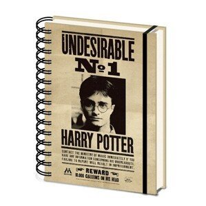 Zápisník Harry Potter - Sirius & Harry 3D Cover