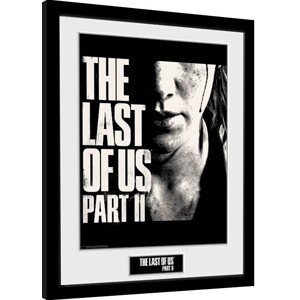 Obraz na zeď - The Last Of Us Part 2 - Face