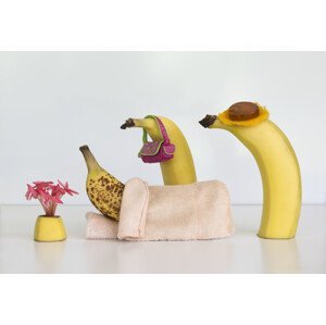 Umělecká fotografie Sick Banana, Jacqueline Hammer, (40 x 26.7 cm)