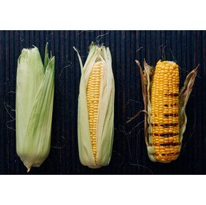 Umělecká fotografie FOODprocess #1- Grilled corn, Aleksandrova Karina, (40 x 26.7 cm)
