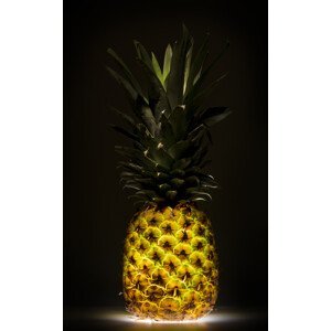Umělecká fotografie Pineapple, Wieteke de Kogel, (24.6 x 40 cm)