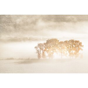 Umělecká fotografie Autumn Dreams, John Fan, (40 x 26.7 cm)
