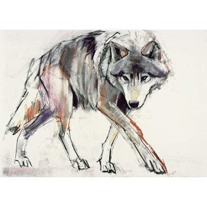 Adlington, Mark - Obrazová reprodukce Wolf, (40 x 30 cm)