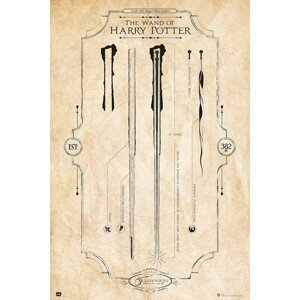 Plakát, Obraz - Harry Potter - The Wand, (61 x 91.5 cm)