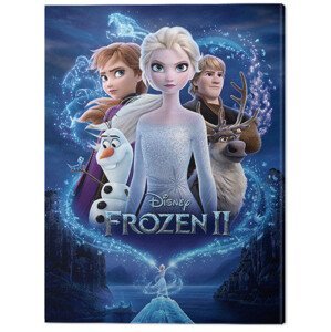 Obraz na plátně Ledové království 2 (Frozen) - Magic, (60 x 80 cm)