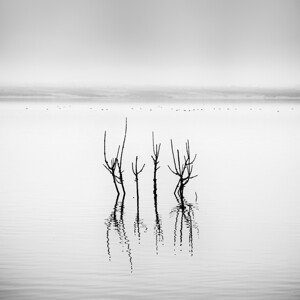 Umělecká fotografie Vegoritida Lake 005, Gilbert Claes, (40 x 40 cm)