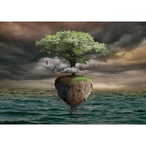 Umělecká fotografie Flying tree, Radoslav Penchev, (40 x 26.7 cm)