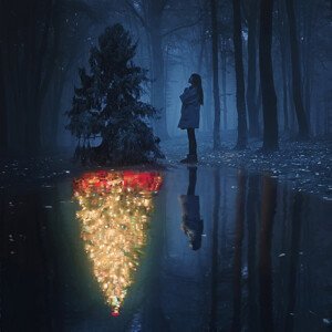 Umělecká fotografie The Hope of Christmas, Terry F, (40 x 40 cm)