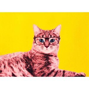 Storno, Anne - Obrazová reprodukce Life in technicolor, 2017,, (40 x 30 cm)
