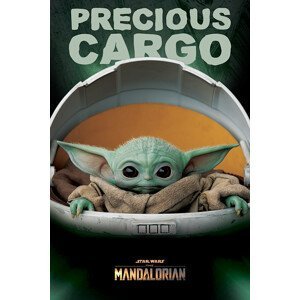 Plakát, Obraz - Star Wars: The Mandalorian - Precious Cargo (Baby Yoda), (61 x 91.5 cm)