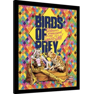 Obraz na zeď - Birds Of Prey: Podivuhodná proměna Harley Quinn - Harley's Hyena