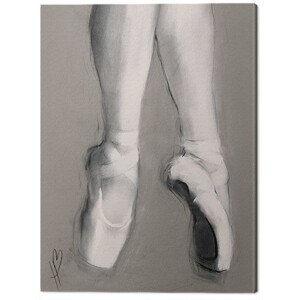 Obraz na plátně Hazel Bowman - Dancing Feet II, (30 x 40 cm)