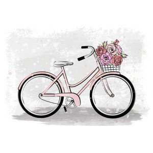 Ilustrace Romantic Bike, Martina Pavlova, (40 x 30 cm)