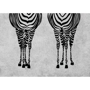 Ilustrace Sexy Zebras, Martina Pavlova, (40 x 30 cm)
