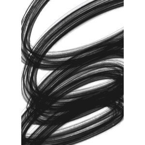 Ilustrace Swirl Three, Martina Pavlova, (30 x 40 cm)