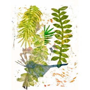 Thompson-Engels, Sarah - Obrazová reprodukce Botanical jungle, (30 x 40 cm)