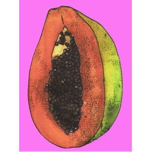 Thompson-Engels, Sarah - Obrazová reprodukce Papaya,2008, (30 x 40 cm)