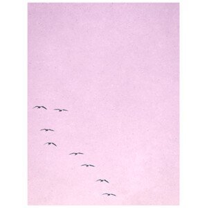 Ilustrace borderpinkbirds, Finlay & Noa, (30 x 40 cm)