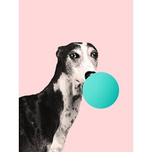 Ilustrace bubblegumdog, Finlay & Noa, (30 x 40 cm)