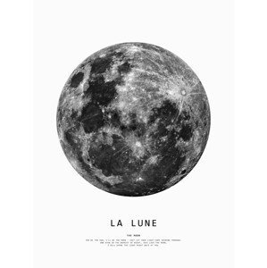 Ilustrace moon1, Finlay & Noa, (30 x 40 cm)
